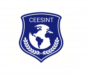 Aula Virtual CEESINT